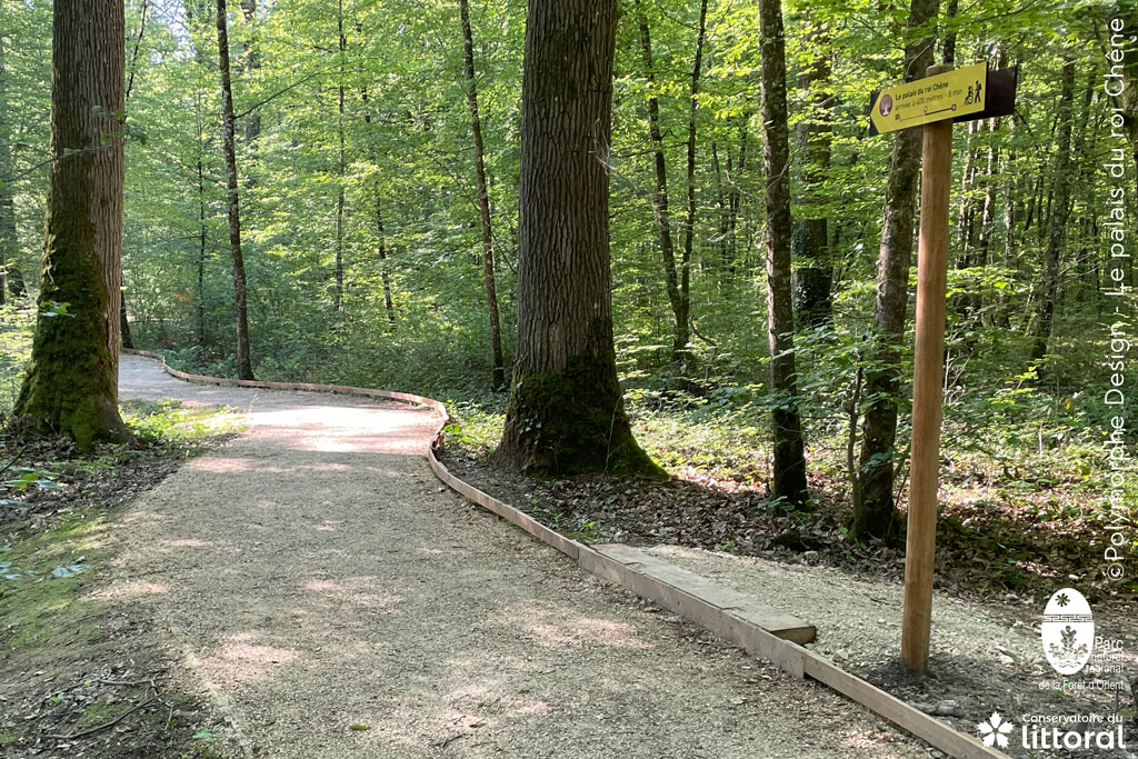 Intersection du sentier du palais du roi Chêne avec un autre sentier.